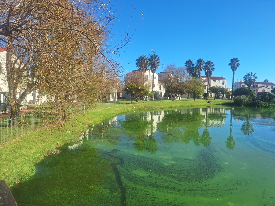 2 Bedroom Property for Sale in Greenways Golf Estate Western Cape